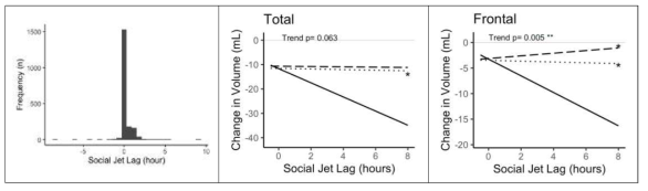 한국인 중장년층의 Social Jet Lag 분포 (왼쪽 그림) 과 Social Let Lag 증가에 따른 AQP4와 4년간 뇌체적 변화와의 상관관계. (실선, Major type; 점선, Hetero type; 혼합, Minor type)