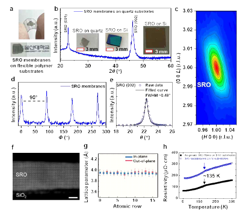 (a) Schematic illustration of the as-transferred SRO membrane on polymer substrate showing the flexibility of the SRO membrane. (b) Synchrotron XRD measurement, (c) High-resolution RSMs, (d) phi scan, and (e) rocking curve of SRO film transferred on a quartz substrate. The inset images in Figure 4(b), show the as-transferred freestanding SRO membranes on quartz and silicon substrates at different lateral areas ranging from lower 3X3 to 10X10 mm2. (i) The cross-sectional HAADF-STEM image and (g) averaged in-plane/out-of-plane lattice parameters of the freestanding SRO membranes. The scale bar is 20 nm. (h) The temperature-dependent resistivity of a single-layer SRO (10 nm)/STO thin film