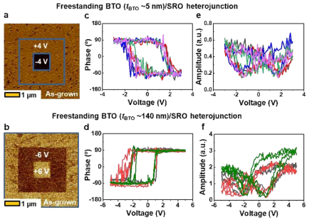 The phase contrast (a,b), ferroelectric hysteresis loops (c,d), and butterfly shape piezoresponse (e,f) of the BTO (tBTO ~5 and ~140 nm) were obtained by PFM measurements