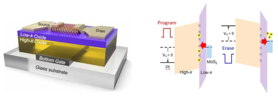 좌) 예상되는 MoS2 기반 비활성 메모리 트랜지스터 소자의 3차원 모식도 우) 펄스전압을 적용한 프로그램과 지우는 과정을 보여주는 메모리 메커니즘