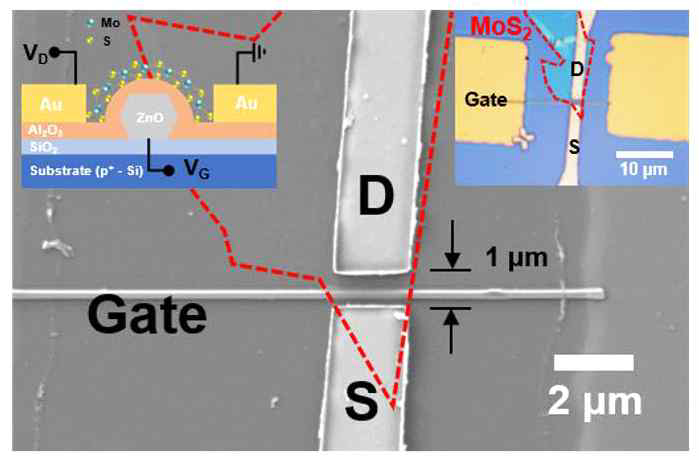 산화아연 나노선을 게이트로 한 MoS2 트랜지스터의 SEM 이미지, 모식도, OM 이미지