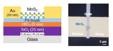 2차원 MoS2를 채널층으로 한 PS-brush/이종산화막 메모리 트랜지스터 구조