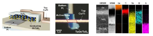 /Ti/TaOx/2H-TaS2 RRAM (resistive memory device) 구조