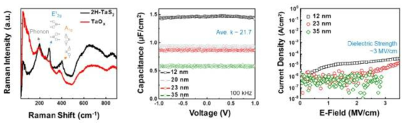 /TaOx/2H-TaS2에서의 라만측정, C-V 측정 및 전기장-전류밀도 측정결과