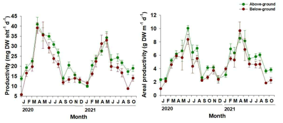 2020년 1월부터 2021년 10월까지 제주 동부 연안 오조리 잘피 생육지의 개체 당 생산성(좌)과 단위 면적 당 생산성(우)