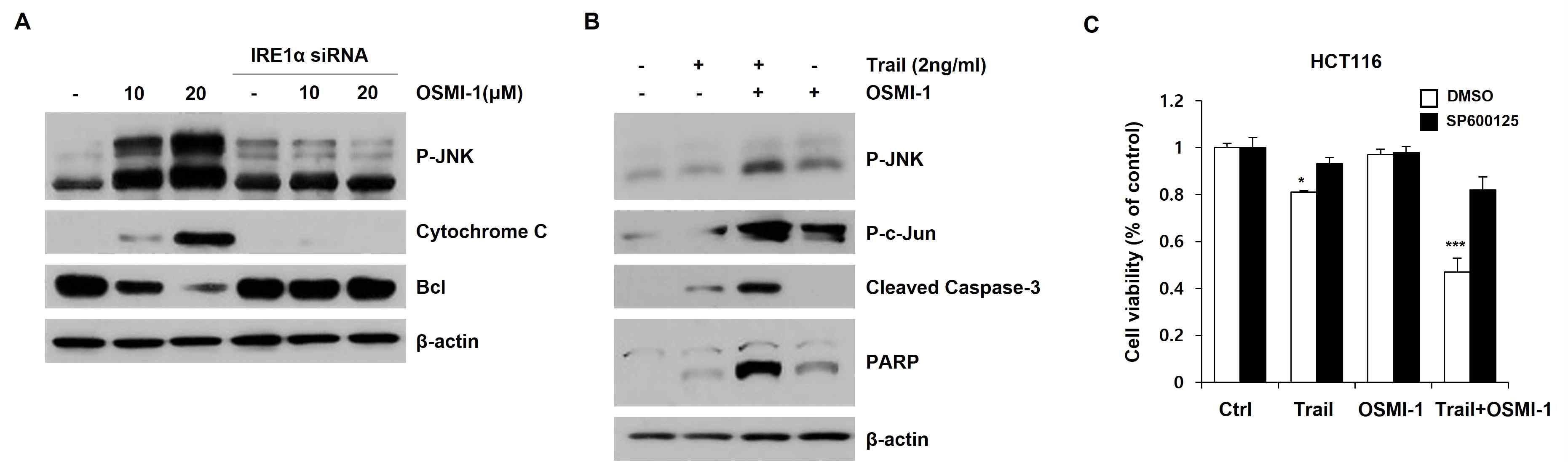 OSMI-1처리에 의한 IRE/JNK 기전 활성을 통한 세포사멸