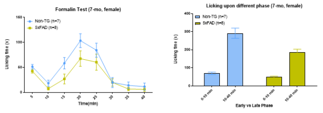 Formalin (1%)를 발바닥에 주입 후, inflammatory (acute) pain에 해당하는 paw licking time을 40분 동안 측정함. (우측) 0-10분과 10-40분의 licking time을 7개월령 정상 쥐와 알츠하이머병 동물모델(5xFAD) 쥐에서 비교함. formalin 주입 후, 7개월령 littermate non-Tg 쥐와 알츠하이머병 동물모델(5xFAD) 쥐에서 급성 통증을 비교한 결과, 알츠하이머병 동물모델(5xFAD) female 쥐의 phase 2에서 licking time이 확연히 감소하는 것을 확인함
