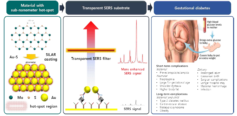 2D dichalcogenide monolayer에 hot-spot을 지닌 투과형 SERS filter를 이용한 임신성 당뇨 바이오센서 개발