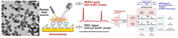 Gold nanotriangle (AuNT)을 이용한 adiponectin labeled SERS 바이오센서 및 임신성 당뇨 조기 진단 관련 연구 결과