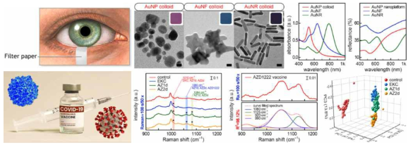 눈물을 이용하여 AstraZeneca 백신 접종 여부를 식별할 수 있는 플라즈모닉 나노구조체가 도포된 label-free SERS 종이 플랫폼