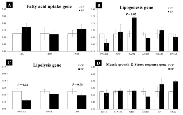 Effects of partial replacement of corn flake with beet pulp on mRNA levels associated with fatty acid uptake and transport (A), lipogenesis (B), Lipolysis (C), and muscle growth  peroxisome proliferator activated receptor gamma, ACC; acetyl CoA carboxylase, FASN; fatty acid synthase, ACSS2; acyl-CoA synthetase short chain family member 2, DGAT2; diacylglycerol acyltransferase 2, GPAM; glycerol-3-phosphate acyltransferase, LPL; lipoprotein lipase, CD36; cluster of differentiation 36, FABP4; fatty acid binding protein 4, PNPLA2; patatin like phospholipase domain containing 2, MGLL; monoglyceride lipase, LIPE; lipase E, hormone sensitive type, IGF 1; insulin like growth factor 1, STAT5a; signal transducer and activator of transcription 5a, GHR; growth hormone receptor, MSTN; myostatin, HP; haptoglobin, SAA2; serum amyloid A2