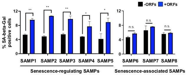 Identification of SAMPs that modulate senescence