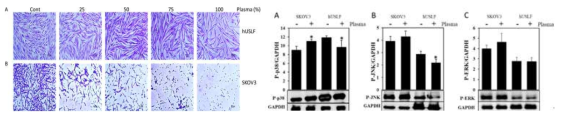 플라즈마 처리수는 hUSLFs를 증식하도록 만들고 동일 농도에서 암세포의 사멸을 유도함