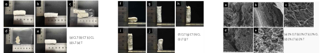Photos of lignin based aerogels according to the concentration of celluloses and lignin (Left: 2%, Middle: 3%) & SEM images (Right)