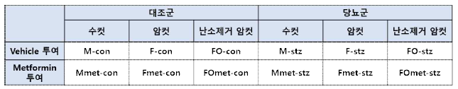 실험군 및 대조군 배정