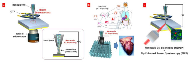 나노스케일 3D 바이오프린팅 기술. a) 기술 개발 b) 바이오 물질 나노 3D 프린팅 c) 라만 분광 혼합 시스템