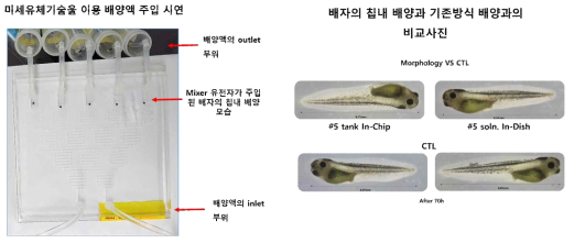 세포 배양칩 개량화 및 안정성 실험