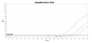 ThermoFisher QuantStudio 5 농도별 DNA 증폭 데이터