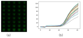 (a) DNA 증폭 형광 이미지, (b) DNA 증폭 형광 그래프