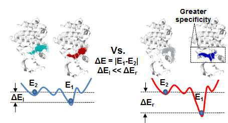 1차 선별 물질 선택 방법론의 개략적인 개념도: 바운드된 리간드가 여러 있어도 E1, E2의 에너지차이가 큰 오른쪽이 더 high affinity 리간드가 될 수 있음