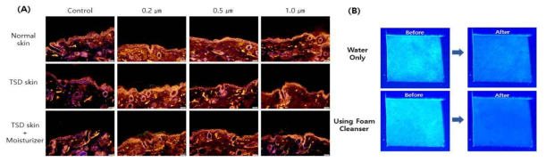 (A) Fluorescent image of microplastic (100ppm, 24h) penetration in hairless mouse. (B) Microplastic removal effect according to detergent