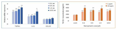 Confirmation of relative expression of macrophage-specific chemokines and cytokines 24 hours after microplsticstreatment on THP-1 macrophages. TGF-β1, IL-6 mRNA expression and TGF-β1 concentration are significantly increased (* p < 0.05, **p < 0.01), CCL22 mRNA increased but not significance