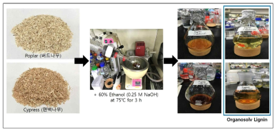 목질계 바이오매스로부터 Organosolv 리그닌 추출 과정