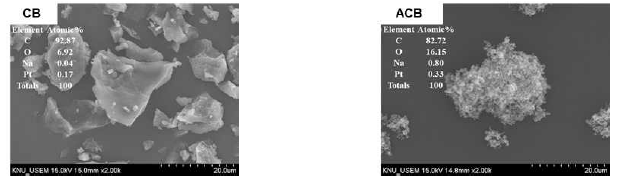 UHR-SEM과 EDX를 이용한 CB와 ACB의 표면 분석