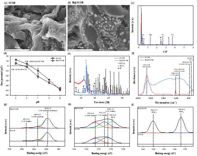 커피박(SCGB)과 비스무스 결합 전극 소재(Bi@SCGB)의 물리화학적 특성 분석