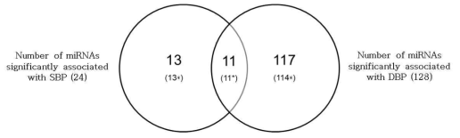 Venn diagram for significant associations of miRNAs with blood pressure. Each number represents the count of significant associations. Star signs presented the count of positive associations between miRNAs and blood pressure. SBP, systolic blood pressure; DBP, diastolic blood pressure