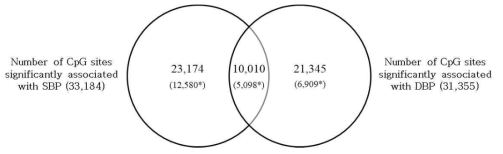 Venn diagram for significant associations of DNA methylations with blood pressure. Each number represents the count of significant associations. Star signs presented the count of positive associations between methylations and blood pressure. SBP, systolic blood pressure; DBP, diastolic blood pressure