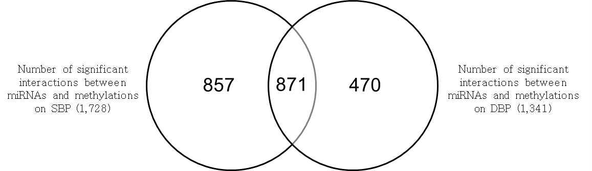 Venn diagram for significant interactions between miRNAs and DNA methylations on blood pressure. Each number represents the count of significant associations. SBP, systolic blood pressure; DBP, diastolic blood pressure