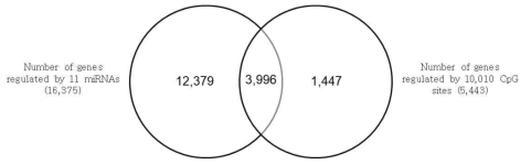 Venn diagram for target genes of 11 miRNAs and 10,010 DNA methylations, which were associated with blood pressure. Each number represents the count of significant associations with both SBP and DBP. SBP, systolic blood pressure; DBP, diastolic blood pressure