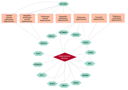 Target genes as significant biomarkers for high BP-related diseases using a curated database in the DisGeNet platform. Grey lines link gene expression biomarkers for target disease, while blue line links genetic variation for target disease