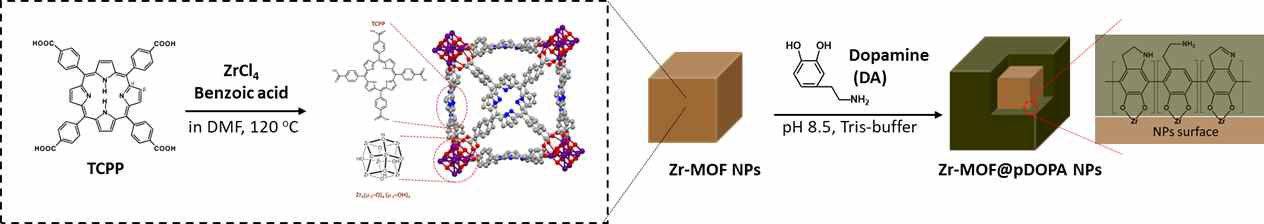Synthesis of Zr-MOF@pDOPA NPs