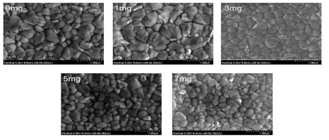 다른량의 HC 첨가된 SnO2 박막위의 페로브스카이트 표면 SEM