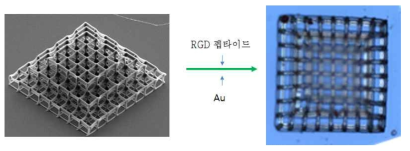 저렴한 공업용 ABS, PLA 필라멘트에 생체 안전성 물질 코팅하여 생체 안전 bio 3D구조체로 변환시킴