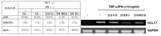 천연 추출물의 세포독성 실험 결과