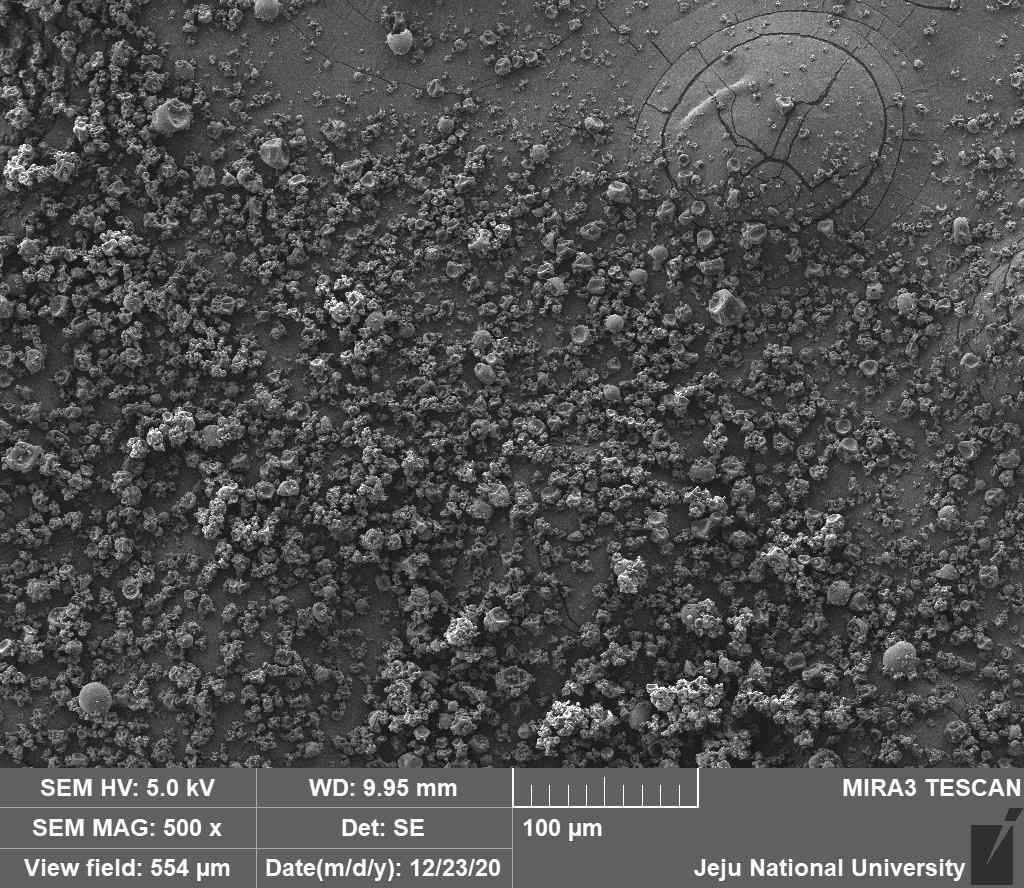 SEM photo of microcapsules