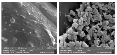 SEM photos of microcalsules coated on cotton knit