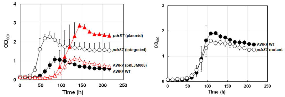 Fructose(좌) 및 CO(우)를 탄소원으로 사용한 최소배지 조건에서의 AWRP의 배양 실험 결과