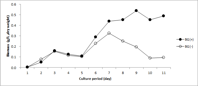 Dunaniella 성장곡선. BG: BG11배지에 배양한 Dunaniella (+): 발효를 통한 CO2 공급 실험군, (-): 발효를 통한 CO2 공급 없는 실험군
