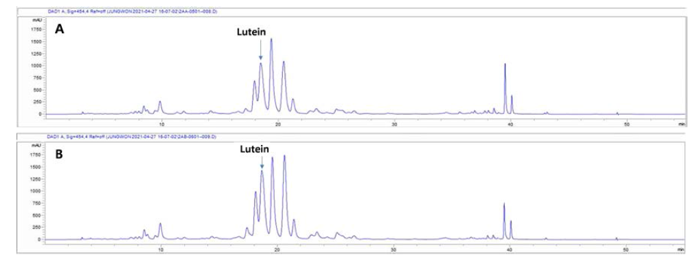 Dunaliella salina Carotenoid 추출물의 HPLC 분석 I (A : NS 배양, B : MS 배양)