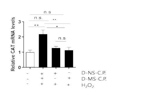 Dunaliella salina 다당류의 Zebrafish에서 Catalase 생성량