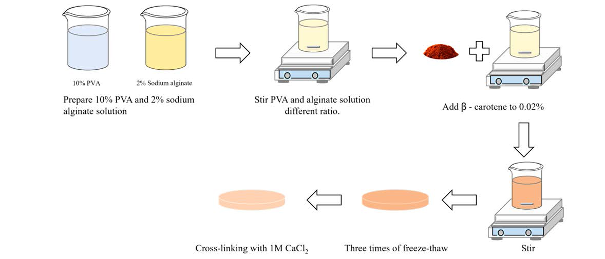 베타카로틴 함유 PVA/알긴산나트륨 기반 하이드로겔 제작 과정