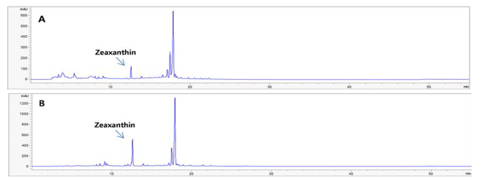 Tetraselmis sp. Carotenoid 추출물의 HPLC 분석 II (A: NS 배양, B:MS 배양)