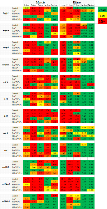 다양한 펙틴처리에 따른 근육과 신장조직에서의 유전자 발현 heat map