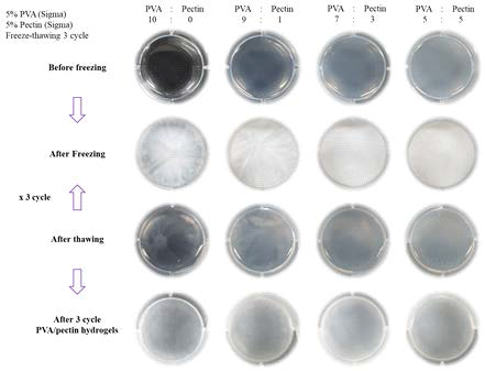 폴리비닐알콜 (PVA) 및 펙틴을 이용한 하이드로겔 제작 사진