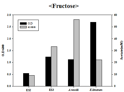 Heterotrophic 조건에서 ES2, ES3, A. woodii 및 E. limosum의 성장 및 acetate 생산성