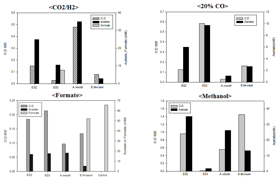 다양한 C1 기질에서 ES2, ES3, A. woodii 및 E. limosum의 성장 및 acetate 생산성